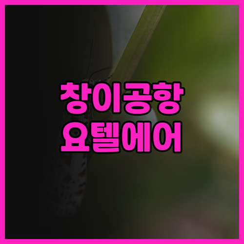 싱가포르 창이공항 근처 호텔 Yote