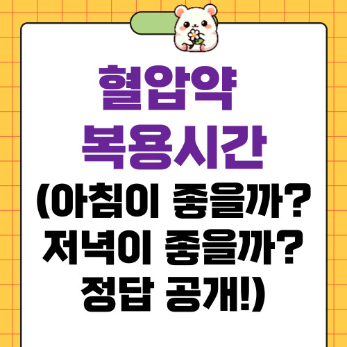 혈압약 복용시간