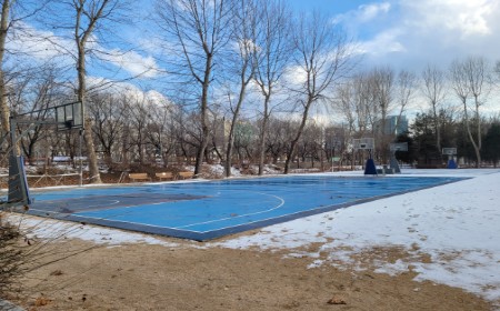 서울 단풍 명소 베스트 6