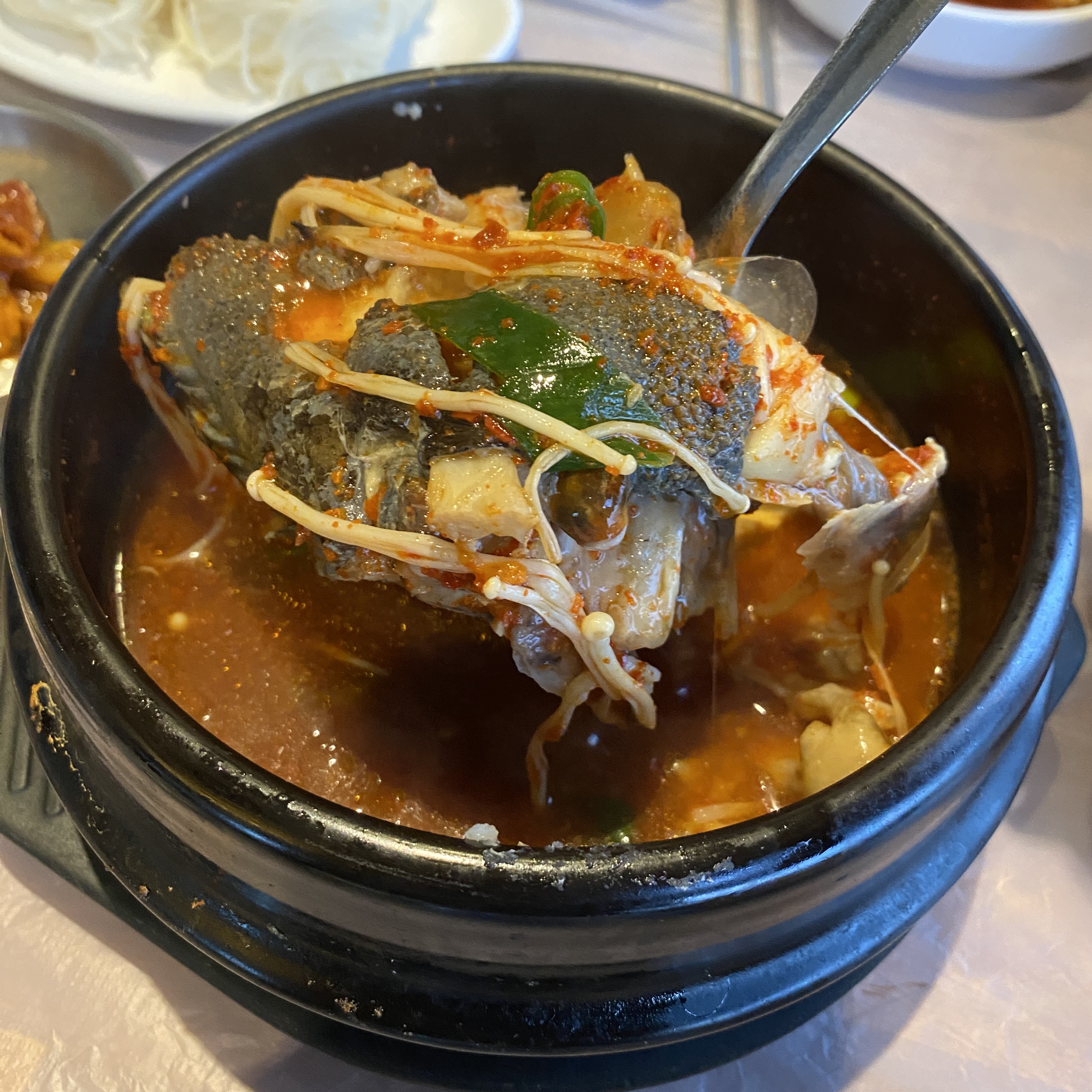 경주 물회 맛집 돌고래횟집