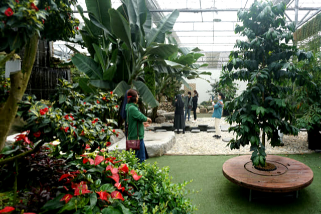 특색있고 아름다운 민간 정원 30선 추천 여행 - 25. 통영 동백커피식물원