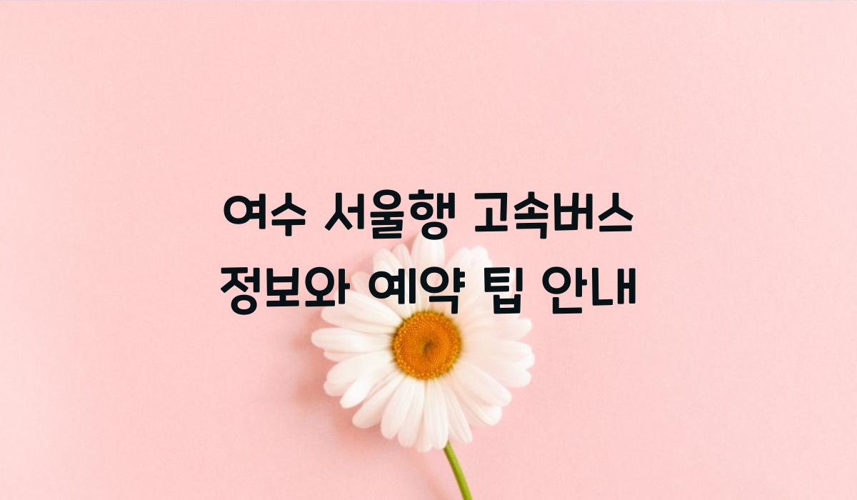 여수 서울행 고속버스 정보