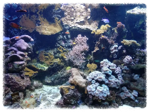 괌 언더 워터 월드