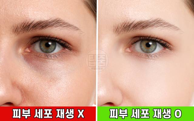 얼굴 하얘지는법,피부 세포 재생 시간,팁줌