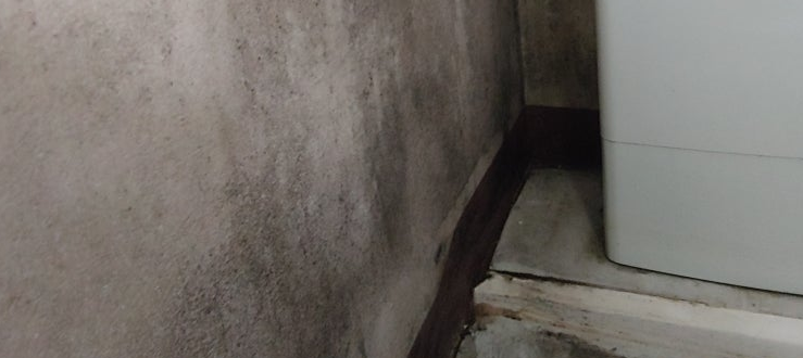 베란다 곰팡이제거제2