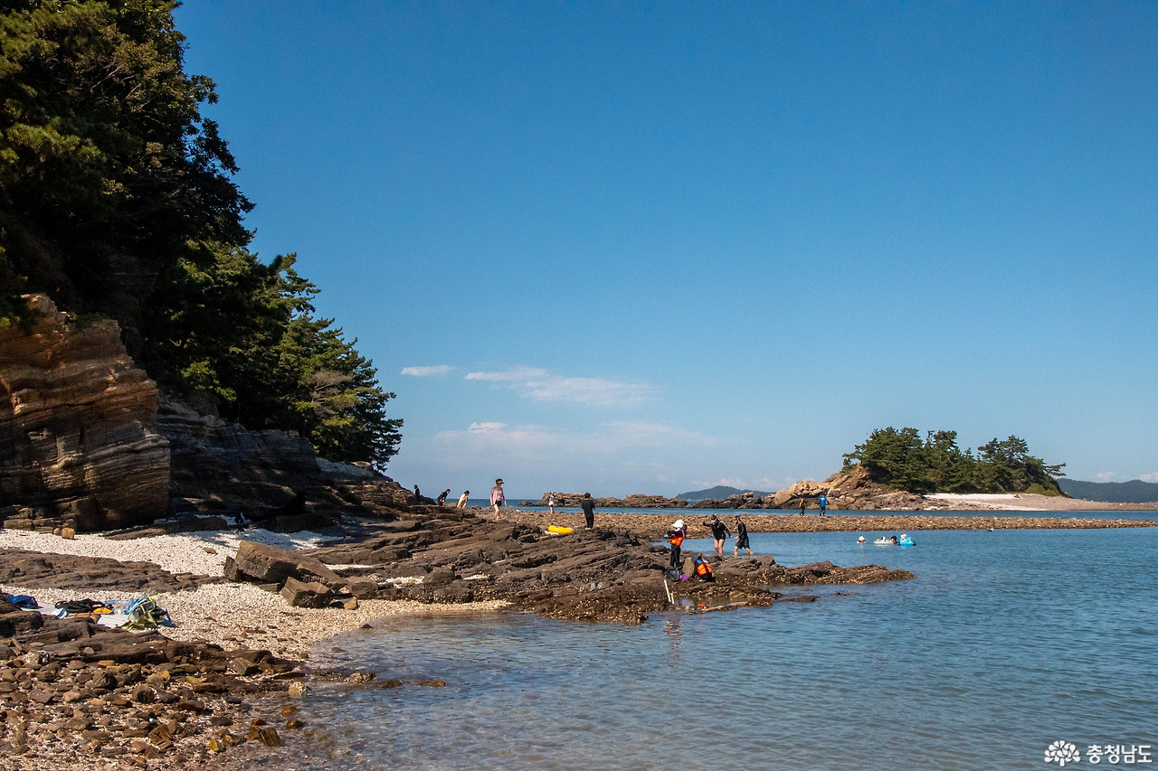 이것만은 꼭! 해루질 준비물