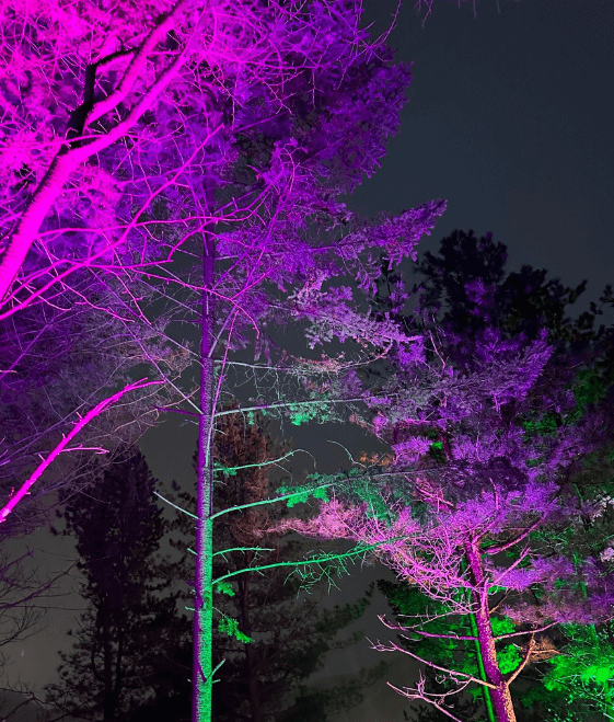 강원도 축제 일정