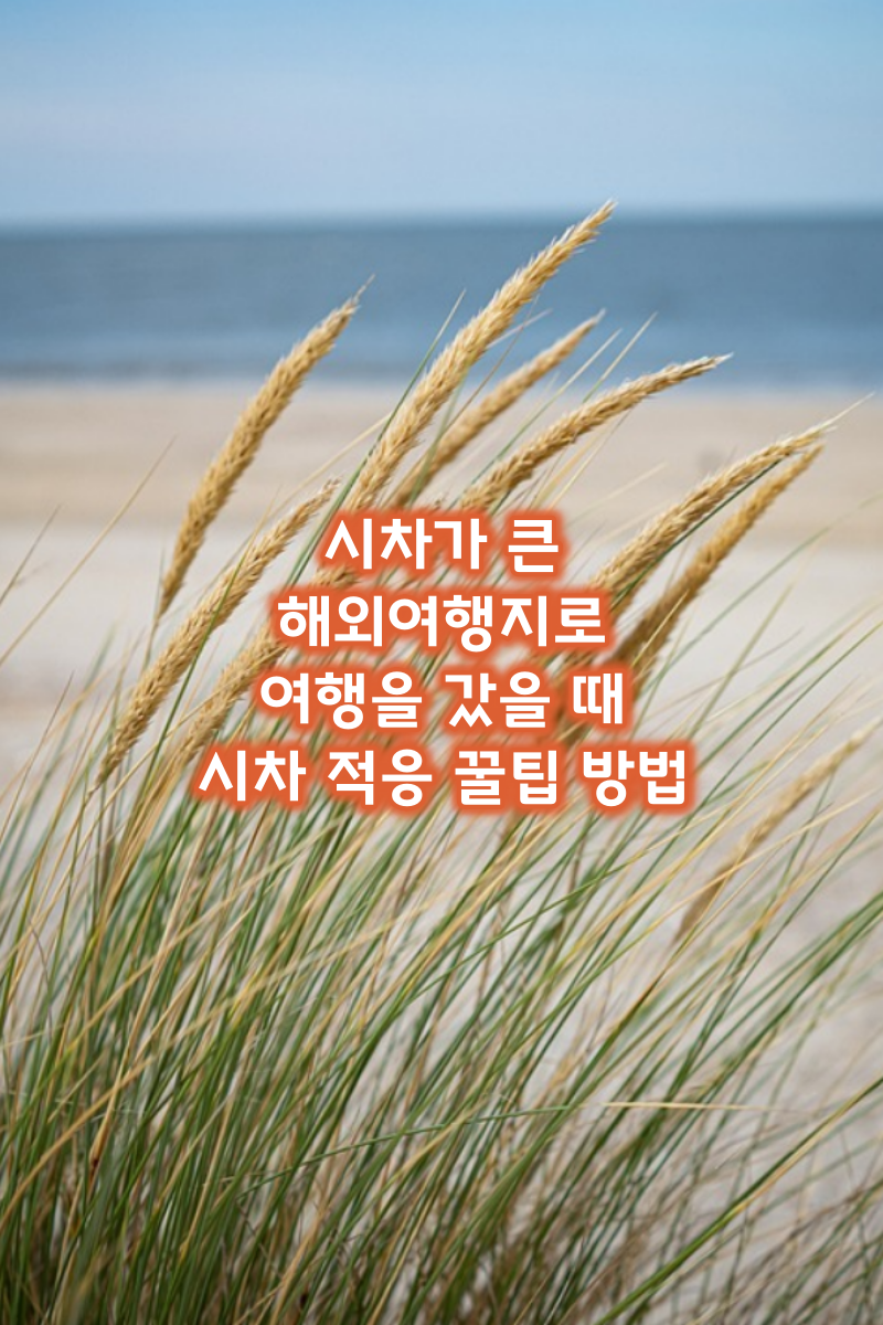 시차적응꿀팁