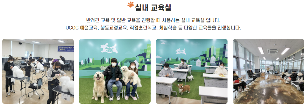 울산 애니언파크
