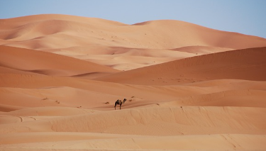 쳇지피티 무료 사용 홈페이지