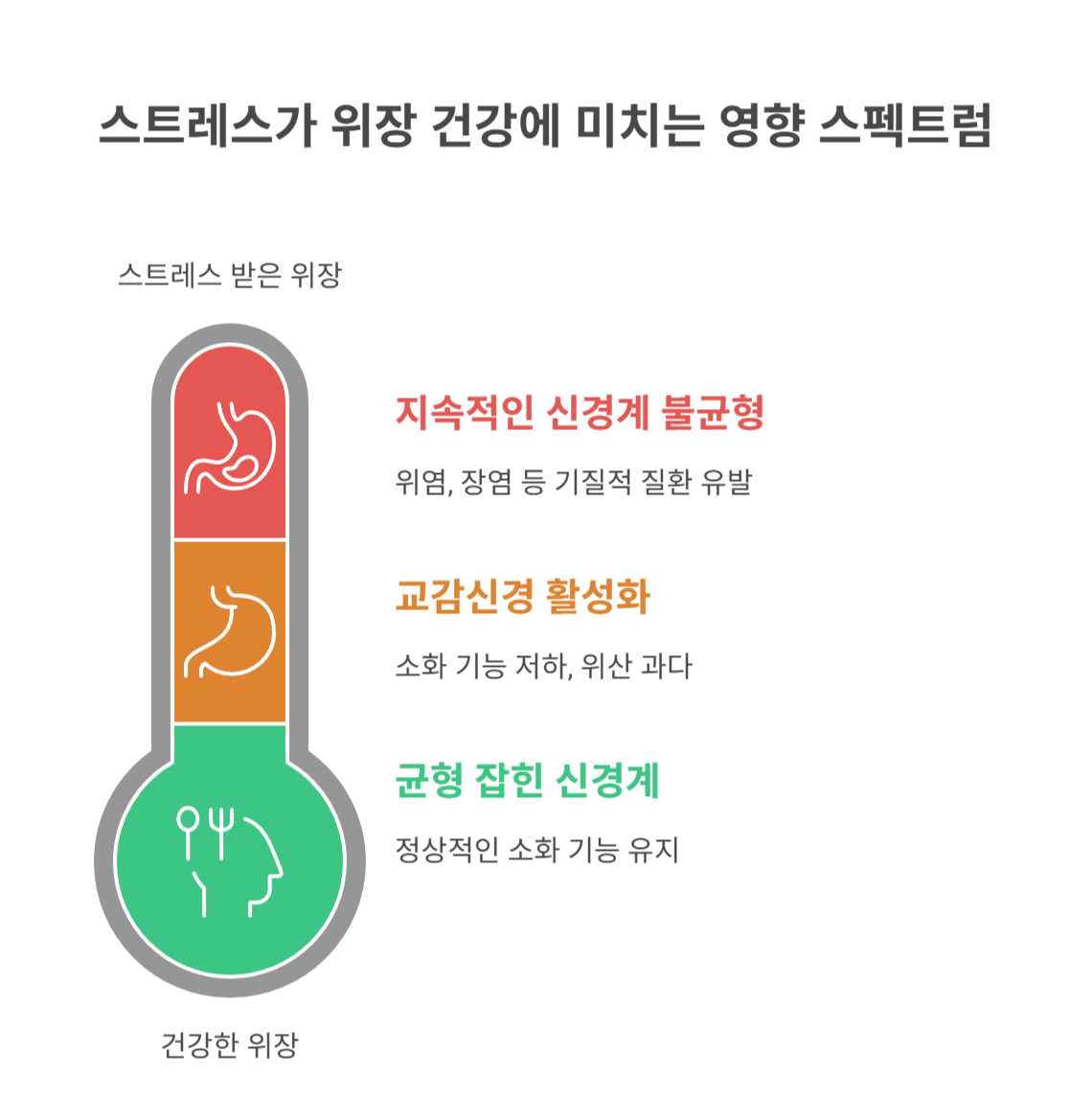 왜 시험 스트레스가 위장을 괴롭힐까?
