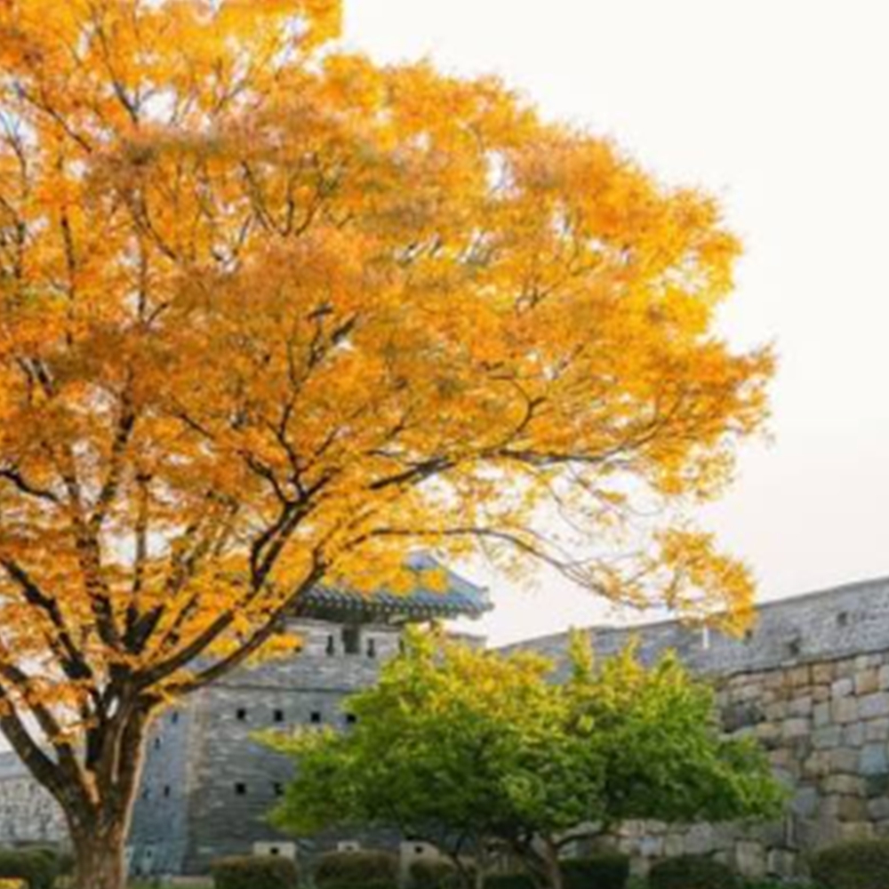 경기도 단풍명소