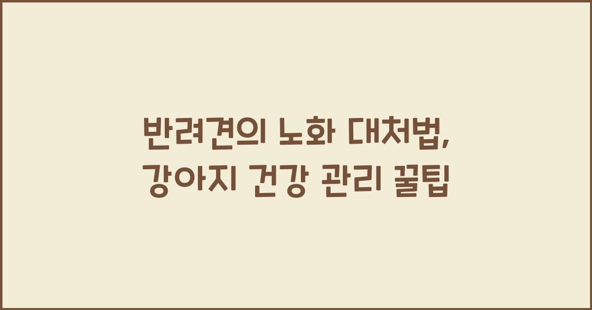 반려견의 노화 대처법: 나이 든 강아지를 위한 건강 관리 팁