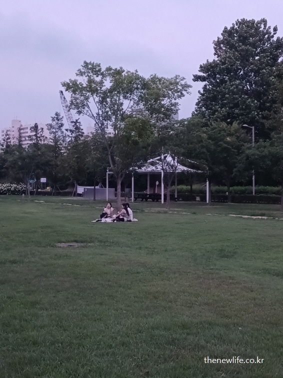 잠실 한강공원 물놀이장 잔디 위에서 돗자리 피고 앉아있는 사람들 모습