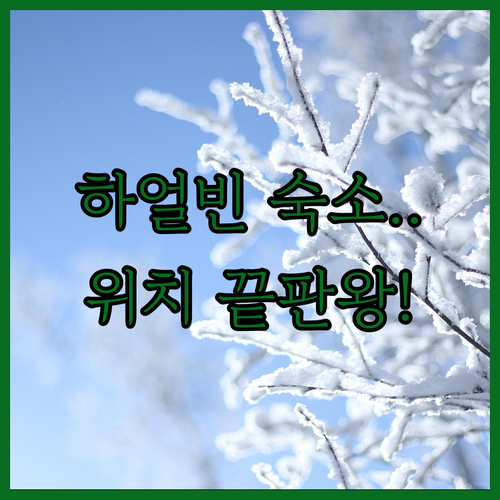 중국 하얼빈 여행 중앙대거리 위치 좋..