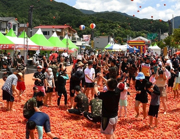 2025 화천 토마토 축제 - 여름을 붉게 물들이다! 관련 사진