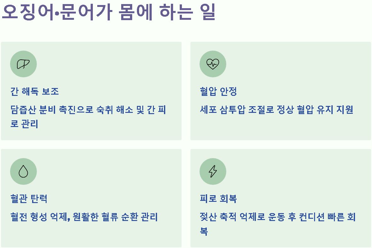 타우린 많은 음식