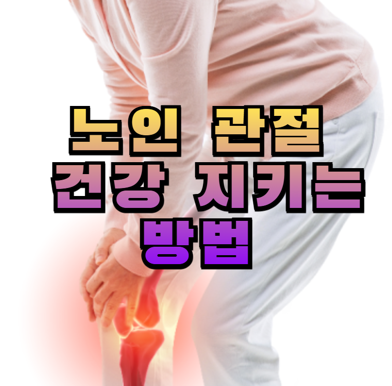 관절운동, 노인운동, MSM영양제, 관절건강, 무릎통증, 실버피트니스, 연골관리, 관절염예방, MSM효능, 노년기건강