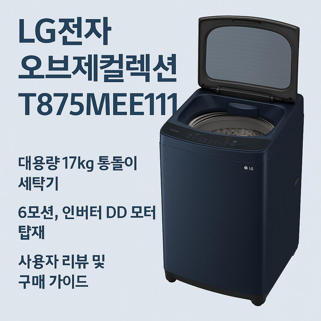 LG전자 오브제컬렉션 T875MEE111 리뷰