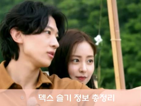 덱스 슬기 갤러리 학력 정보 정리 사진