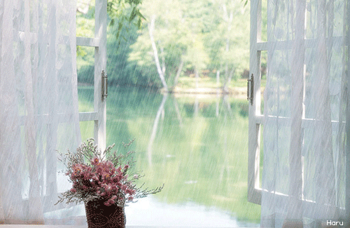 비 오는 날에 땡기는 음식