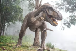 어린이날 축제 BEST 5, 국내여행지 추천