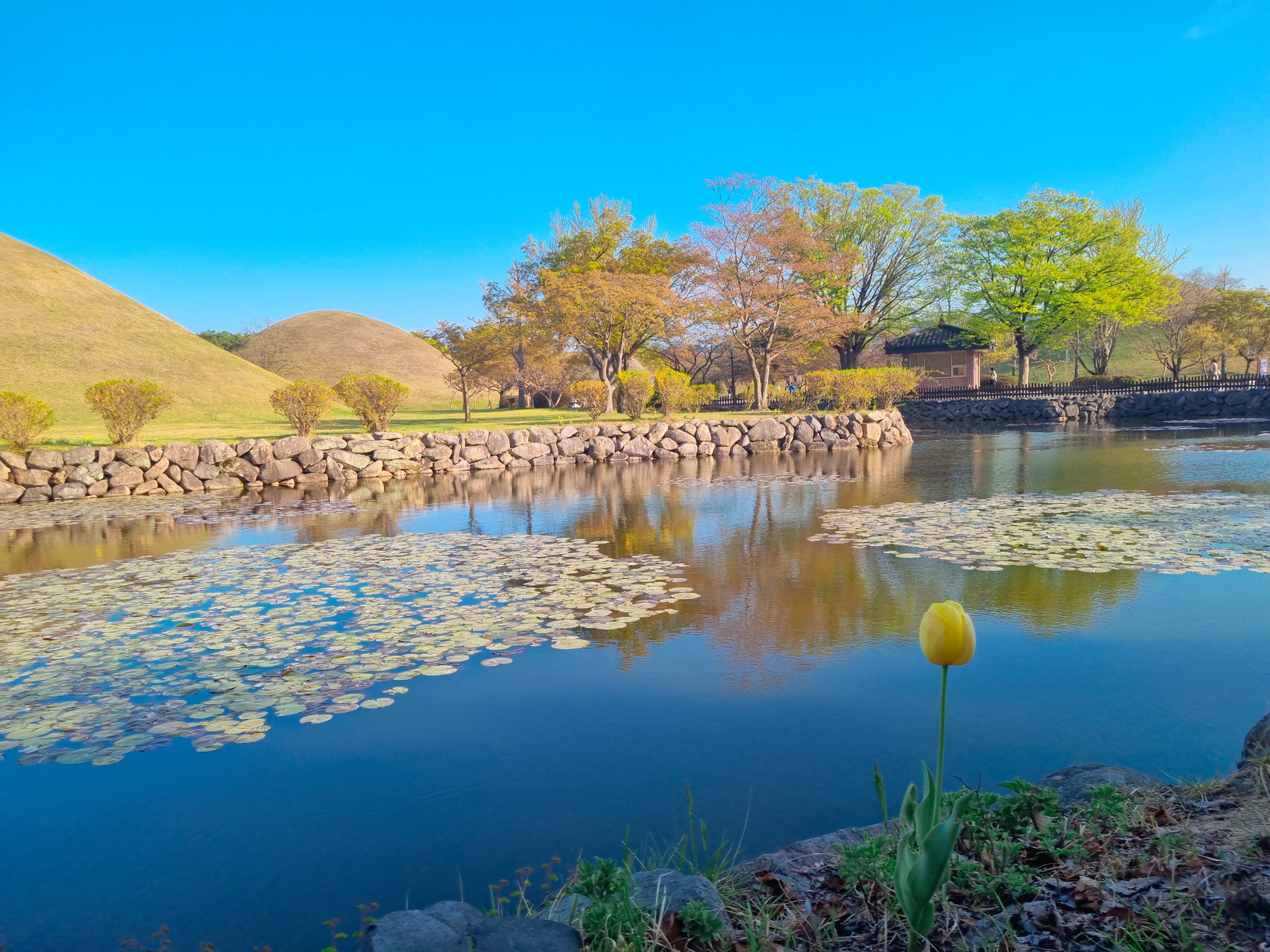 경주 대릉원