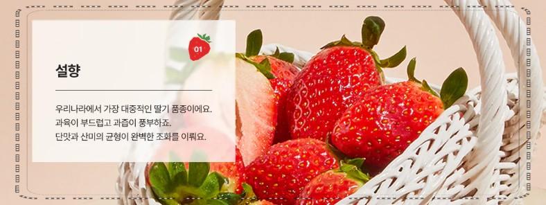 [이마트 전단지] 1월 딸기 축제 시작! 떠먹는 딸기 케이크 할인 및 맘키즈 50% 혜택