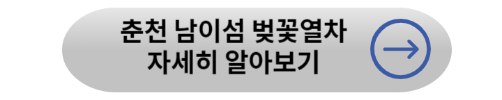 봄꽃 기차여행 (벚꽃기차)코스 및 금액 정리