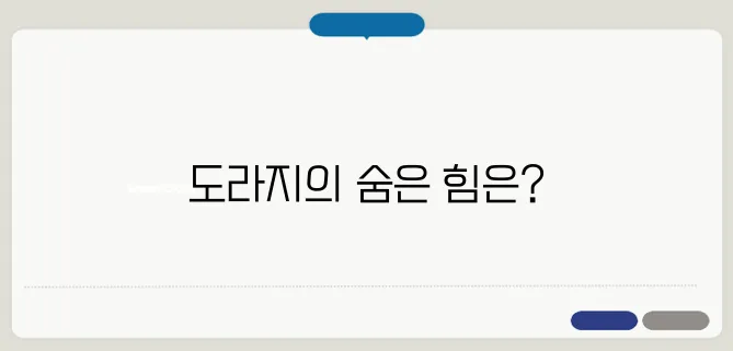 도라지 효능 기관지 건강에 좋은 이유