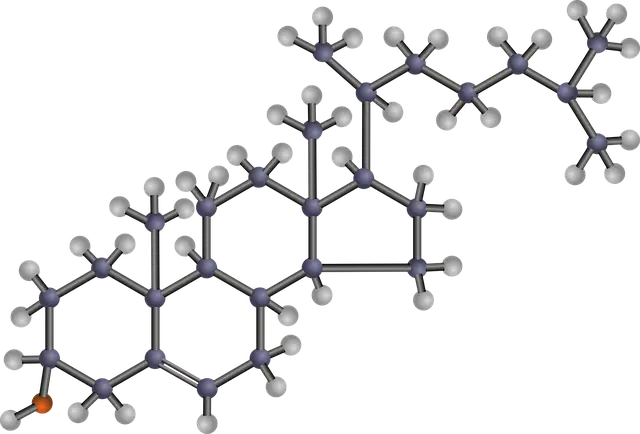플라크는 지방 덩어리가 아니라 혈관 속 ‘플라그’다