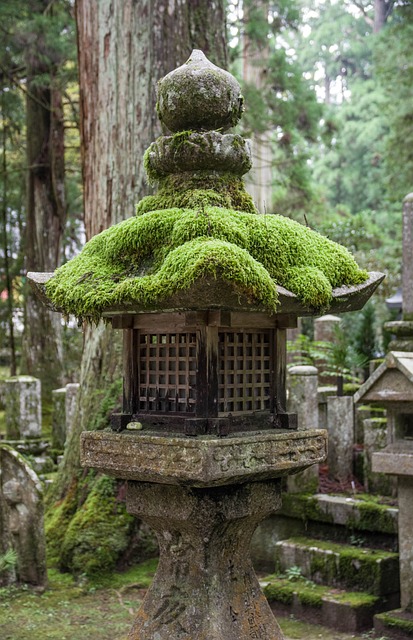 나고야 날씨 및 자유 여행 2박 3일 (+ 지브리파크 맛집 리스트)