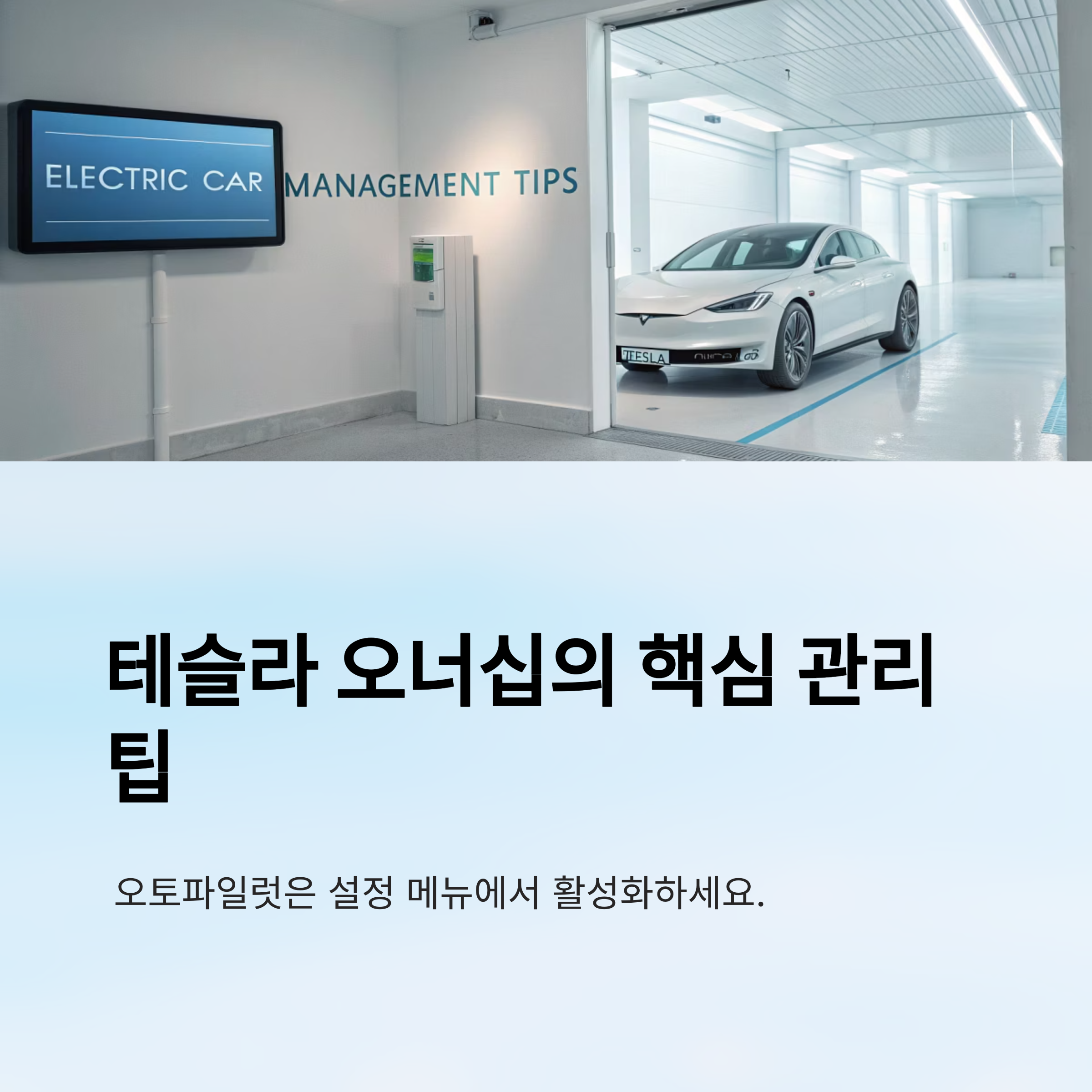 테슬라 초보자를 위한 현실 꿀팁