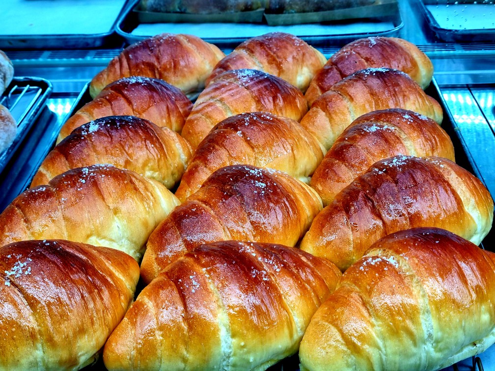 팔방미인 파주 문지리 535 카페 매력 포인트: 드넓은 논밭 뷰와 초록을 담은 실내 식물원 