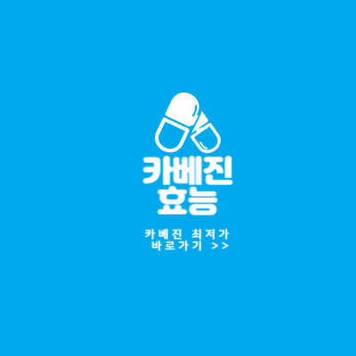 카베진 효능