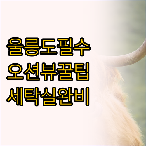 울릉도 호텔 추천 오션뷰 스테이섬씽과..