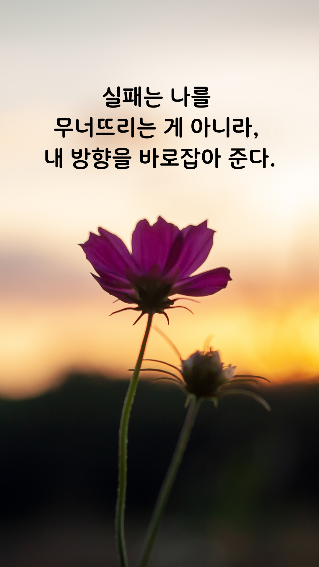 실패 명언 짧고 좋은 글귀 인생 문구 이미지