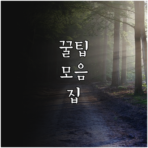 2025년 서울시 동행센터 방문건강관..