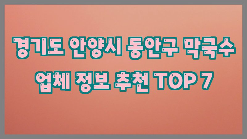 경기도 안양시 동안구 막국수