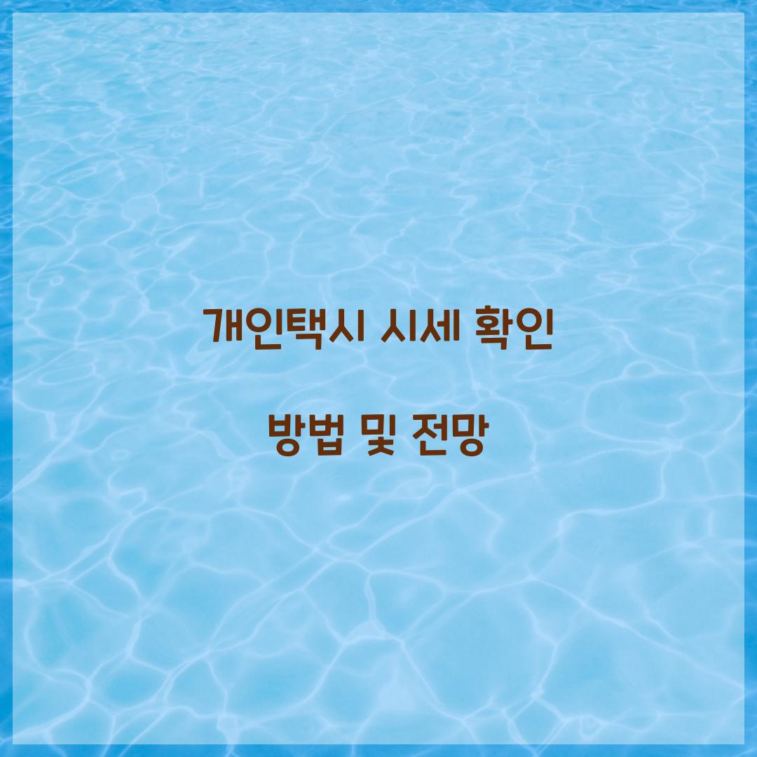 개인택시 시세