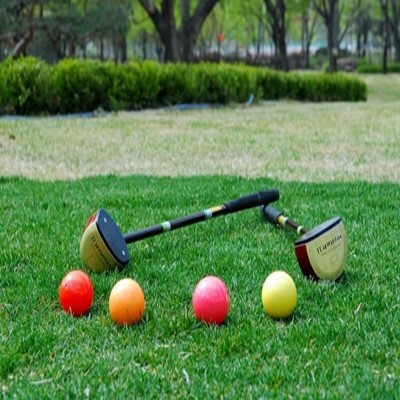 파크골프 용품