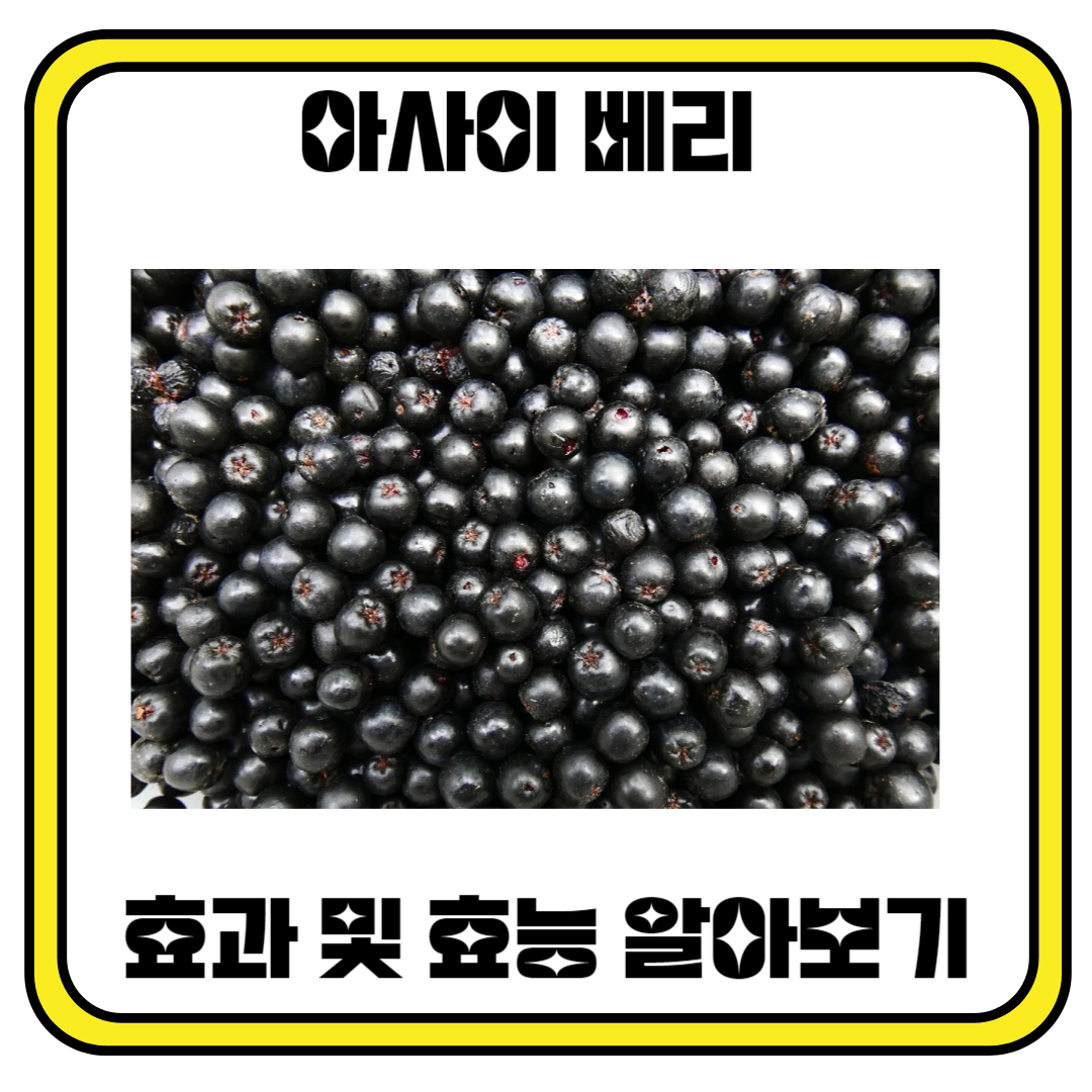 아사이 베리 효과 및 효능 알아보기