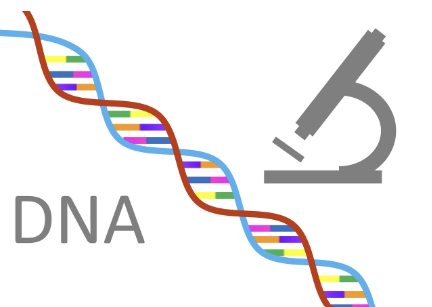 유전자 맞춤 코치, 개인화된 건강의 윤리