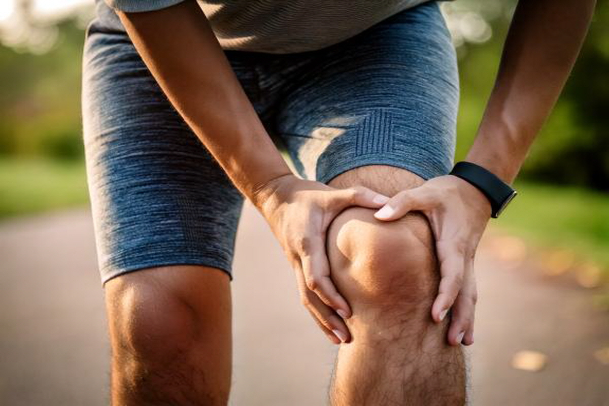 보스웰리아 효능