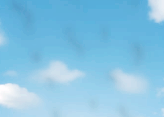 눈에 날파리 현상