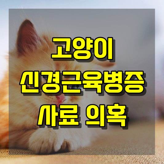 고양이 신경근육병증과 관련된 사료 의혹