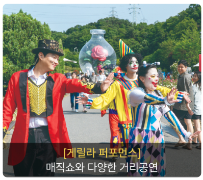 2025 울산대공원 장미축제