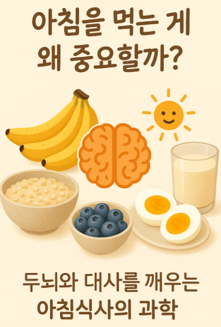 두뇌와 대사를 깨우는 아침식사의 과학