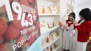 제 14회 밀양 삼랑진 딸기시배지 축제 기본일정과 프로그램 소개