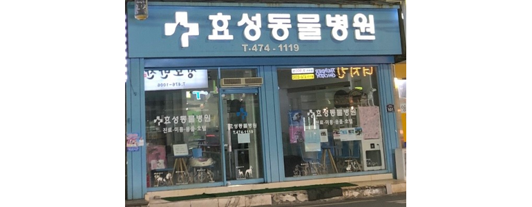 대구 남구 동물병원